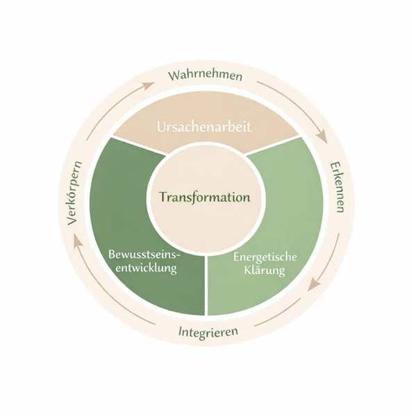 RootLight Essence Ausbildung und Transformation